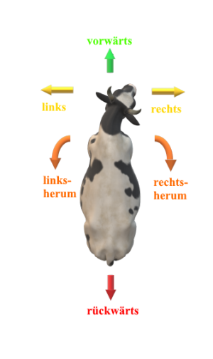 Kommandos für den Ochsen